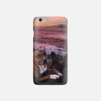 iPhone 6